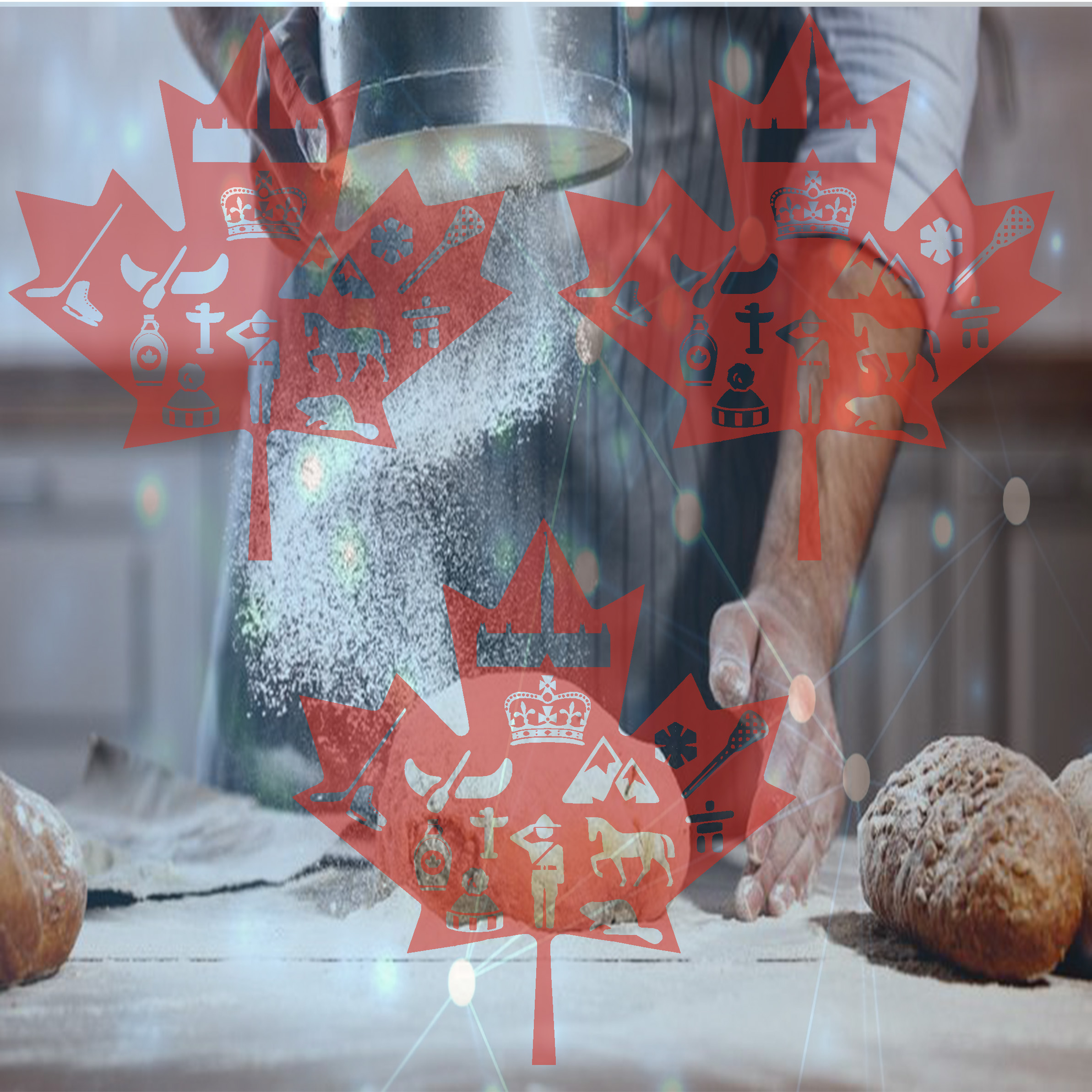 Khóa học nghề tại Canada